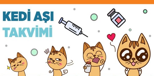 Kediler Ve Aşı Takvimi
